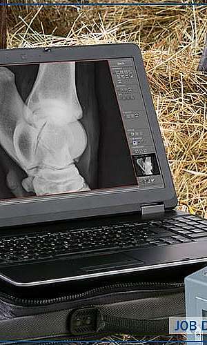 Aparelho de raio x digital veterinário preço	 Aparelho de raio x digital veterinário preço