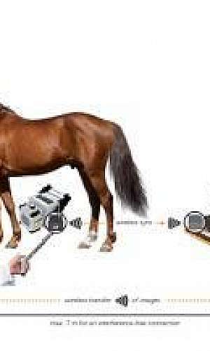 Aparelho de raio x digital veterinário	 Aparelho de raio x digital veterinário