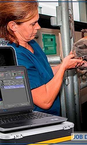 Aparelho de raio x portátil veterinário	 Aparelho de raio x portátil veterinário