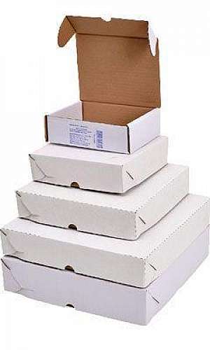 Caixa para esfiha Caixa para esfiha