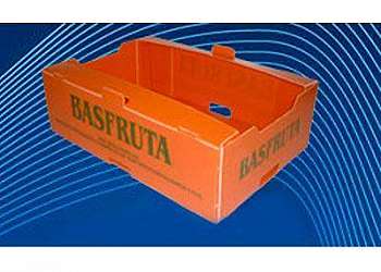 Caixa plastica agricola hortifruti Jabaquara Caixa plastica agricola hortifruti Jabaquara