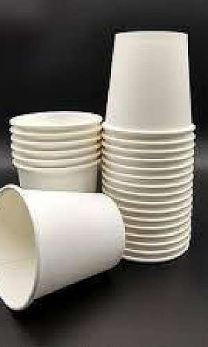 Copo biodegradável 300ml Copo biodegradável 300ml