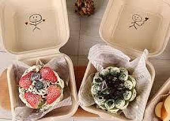 Embalagem lunch box sp Embalagem lunch box sp