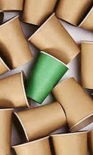 Embalagens descartáveis de papel Embalagens descartáveis de papel