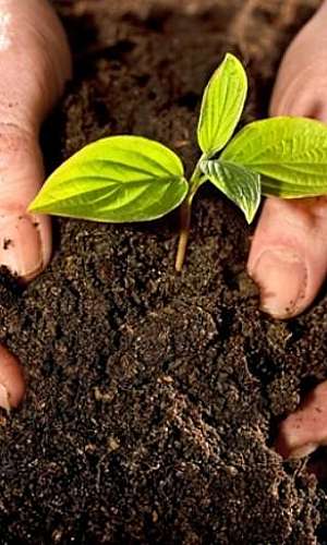 Empresa de compostagem Empresa de compostagem