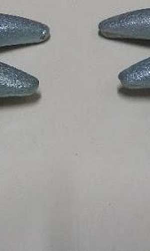 Garra can para container SP Garra can para container SP