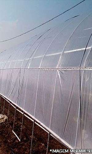 Lona plástica para estufa Lona plástica para estufa