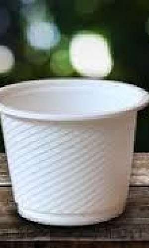 Pote de papel biodegradável valor Pote de papel biodegradável valor